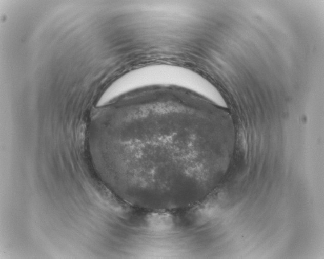 X0000088880271200706221822