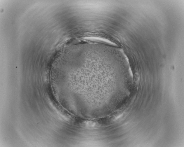 X0000088880272200706221822