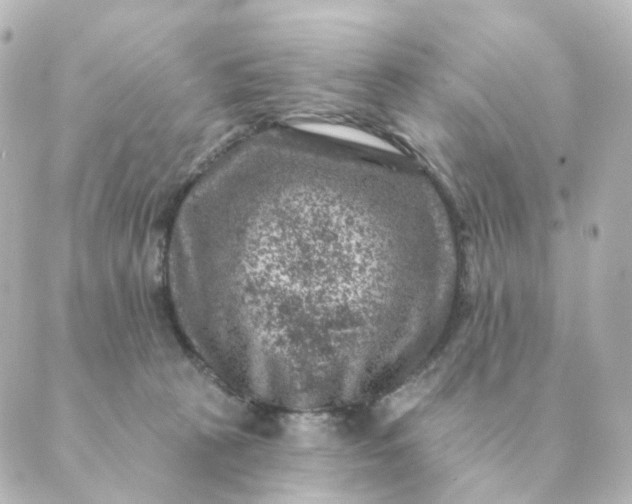 X0000088880273200706221822