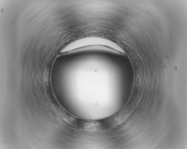 X0000088880274200706221822