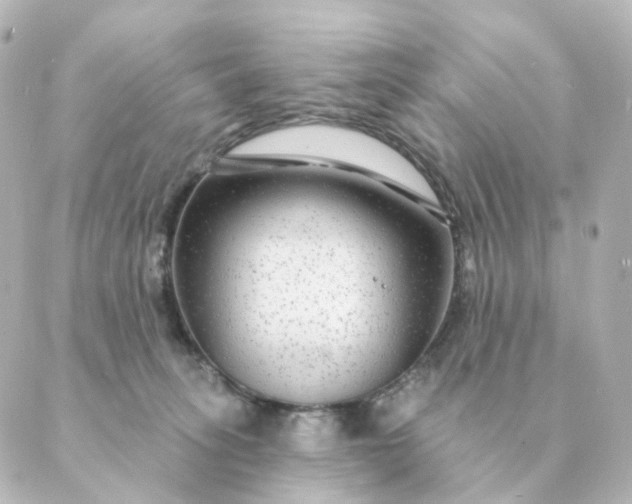 X0000088880275200706221822