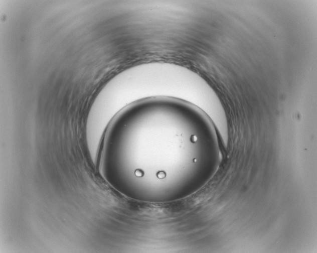 X0000088880276200706221822