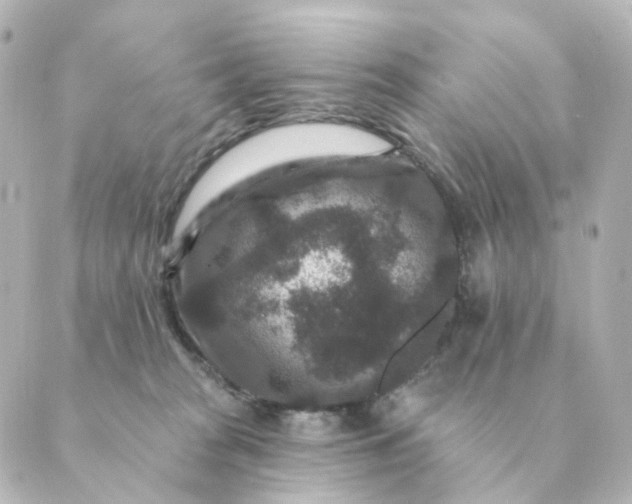 X0000088880277200706221822