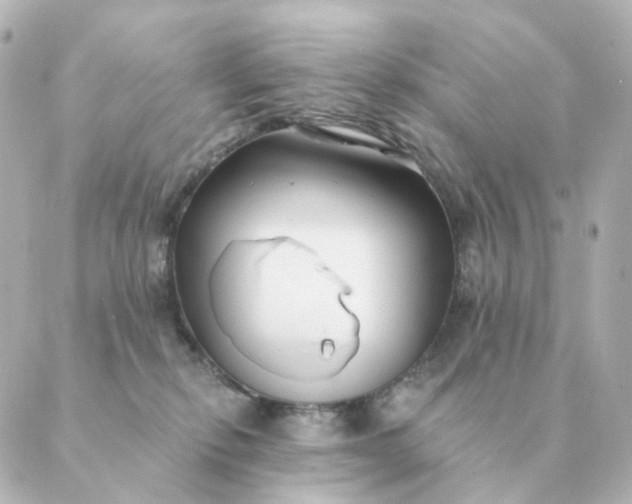 X0000088880278200706221822