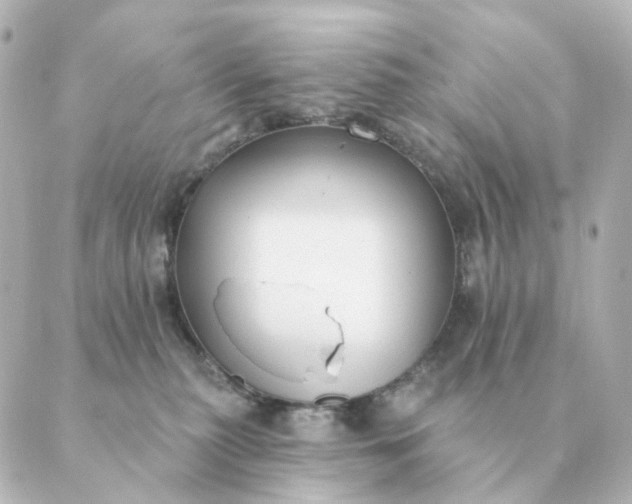 X0000088880279200706221822