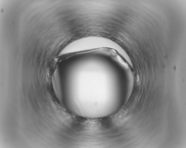 X0000088880280200706221822