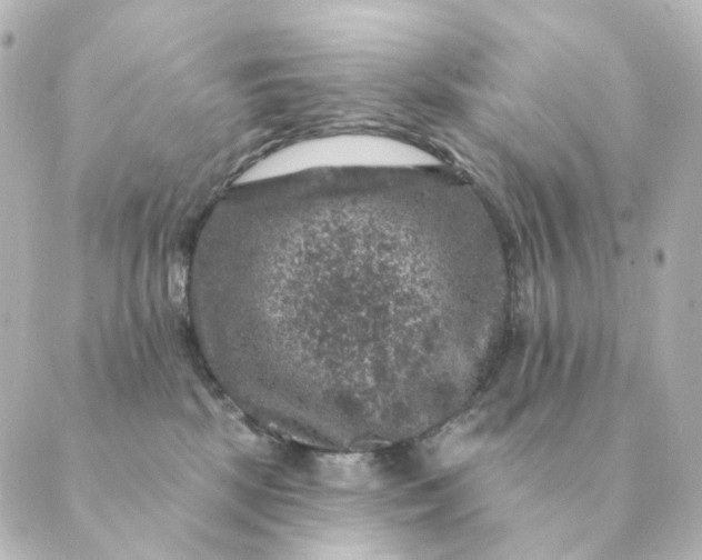 X0000088880281200706221822