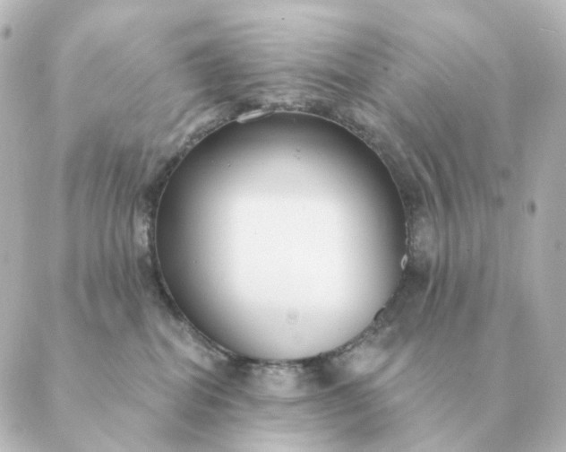 X0000088880282200706221822