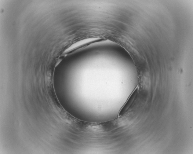 X0000088880283200706221822