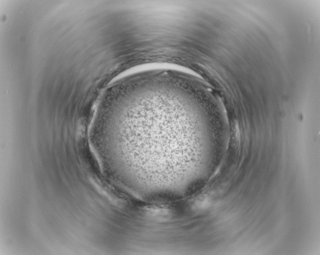 X0000088880284200706221822