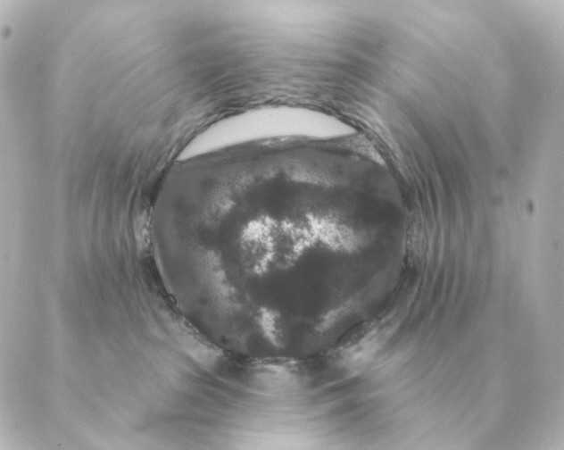 X0000088880285200706221822