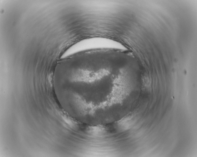 X0000088880286200706221822