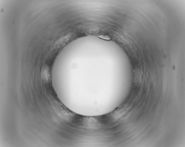 X0000088880287200706221822