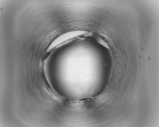 X0000088880288200706221822