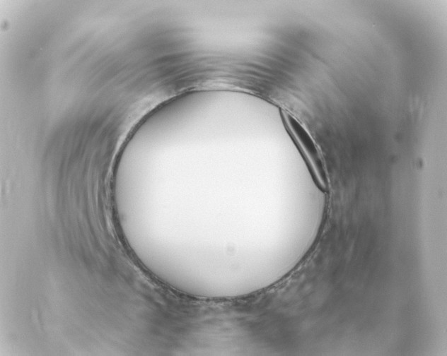 X0000088880289200706221821