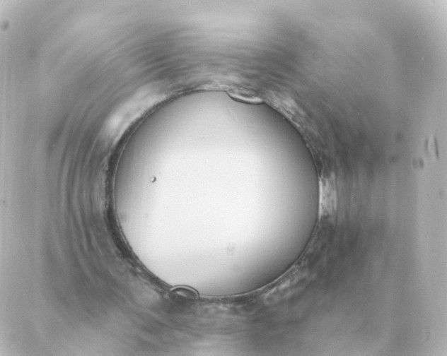 X0000088880291200706221821