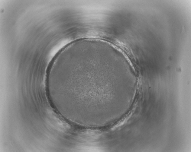 X0000088880292200706221821