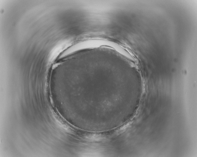 X0000088880293200706221821