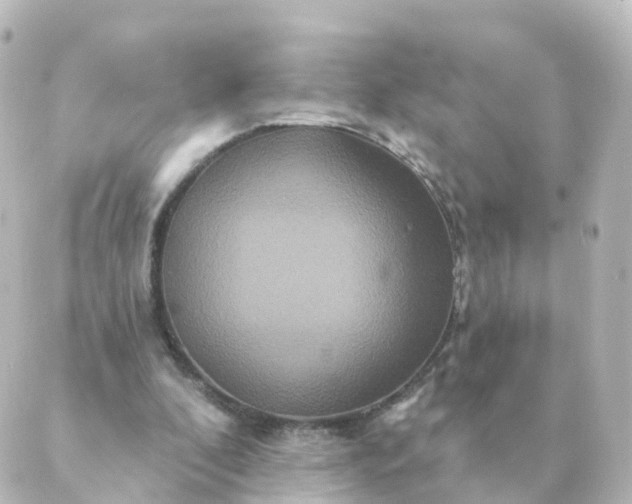 X0000088880296200706221821