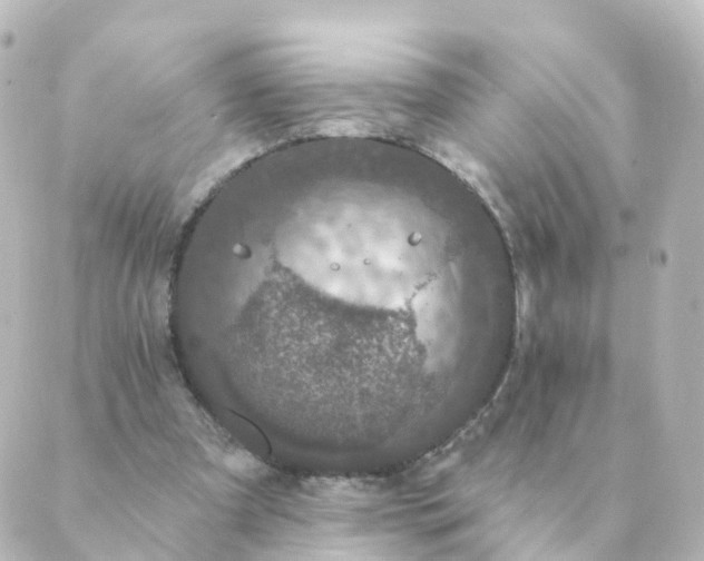 X0000088880297200706221821