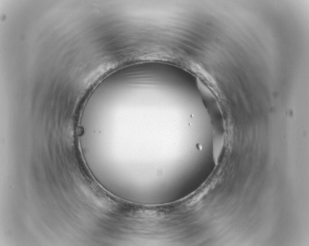 X0000088880298200706221821