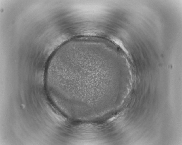 X0000088880299200706221821