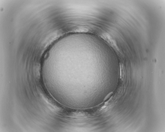 X0000088880300200706221821