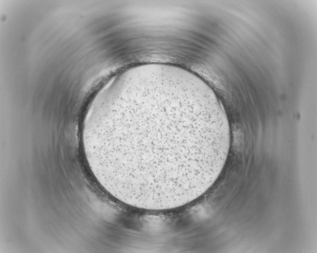 X0000088880302200706221821