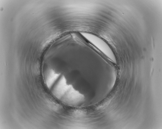 X0000088880303200706221821