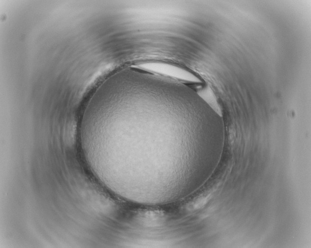 X0000088880304200706221821