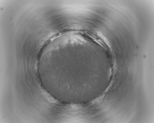 X0000088880305200706221821