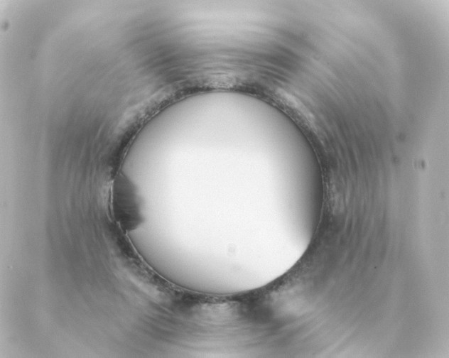 X0000088880307200706221821