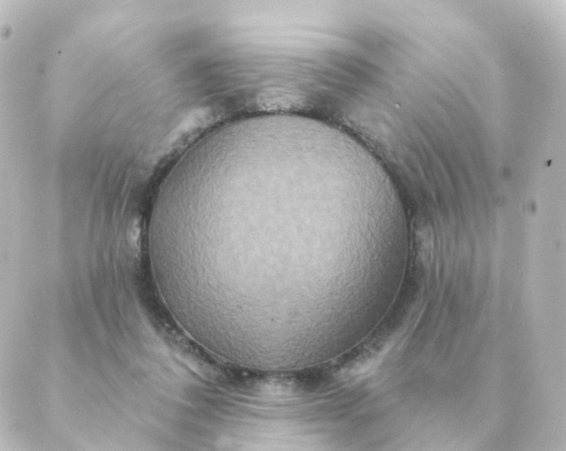 X0000088880308200706221821