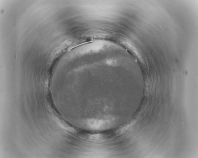 X0000088880309200706221821