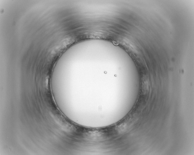 X0000088880310200706221821