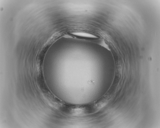 X0000088880312200706221821