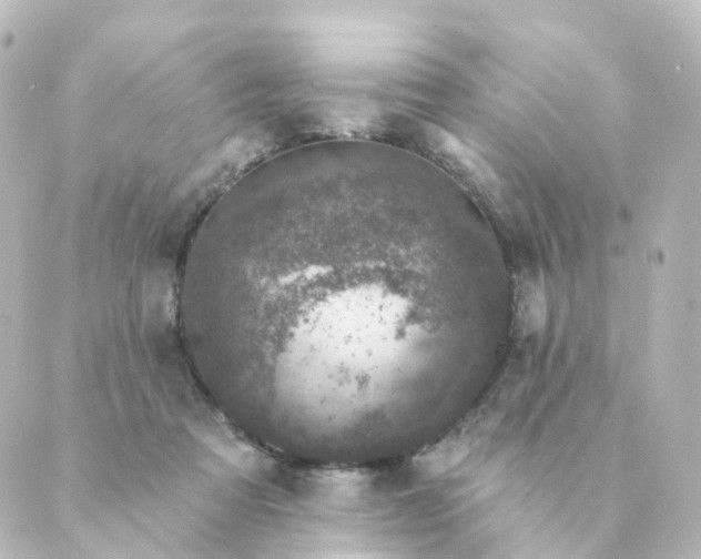 X0000088880313200706221821