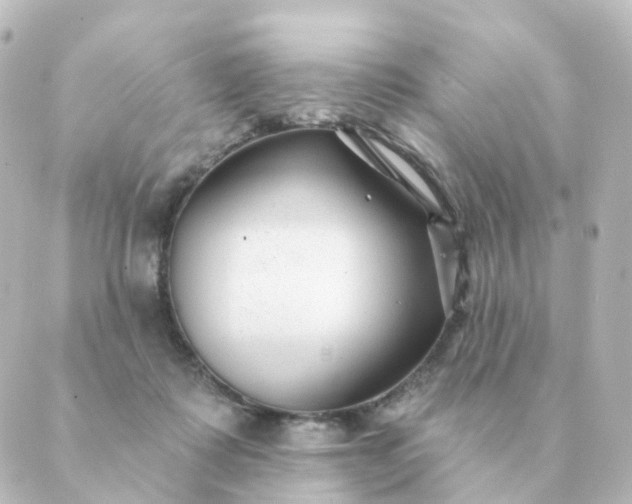 X0000088880315200706221821