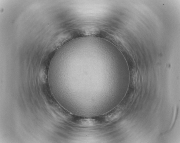 X0000088880316200706221821