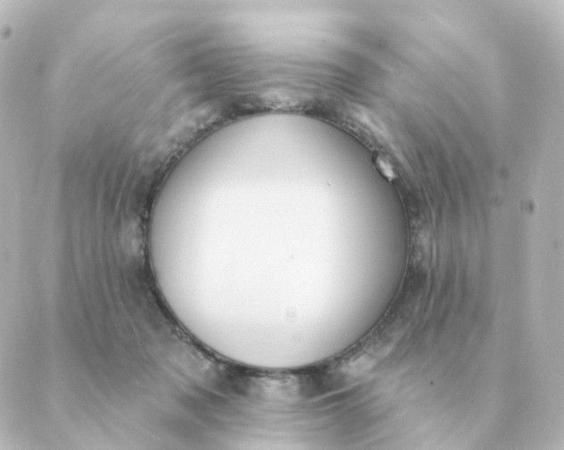 X0000088880317200706221821