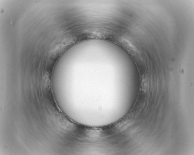 X0000088880318200706221821