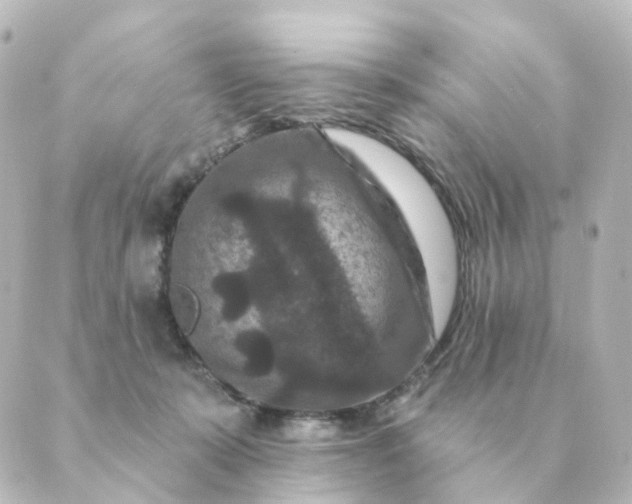 X0000088880319200706221821