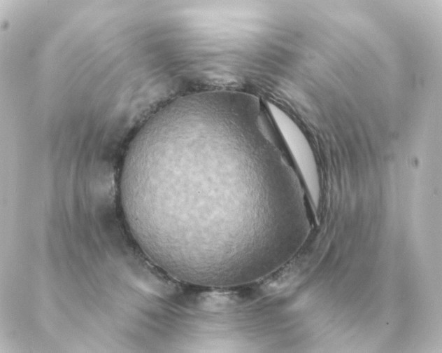 X0000088880320200706221821