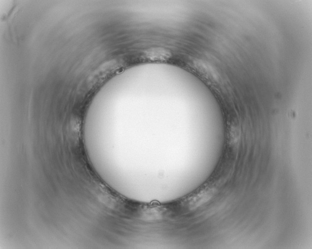 X0000088880321200706221821