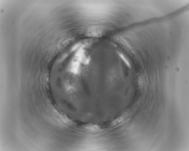 X0000088880322200706221821