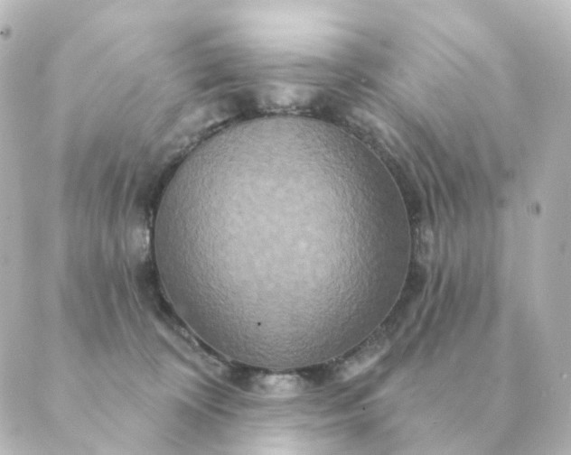 X0000088880324200706221821