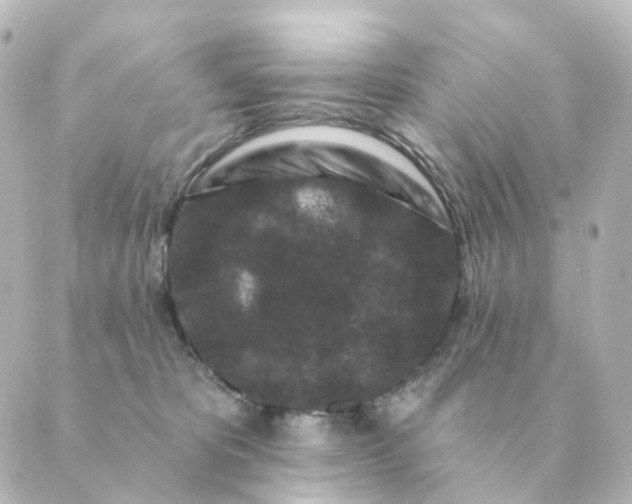 X0000088880325200706221821