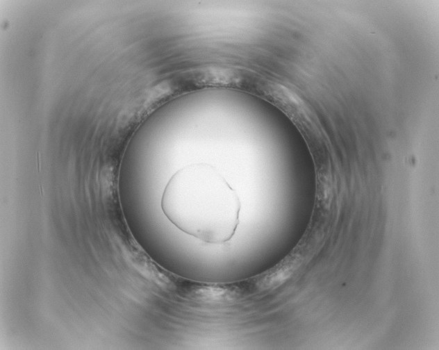 X0000088880326200706221821