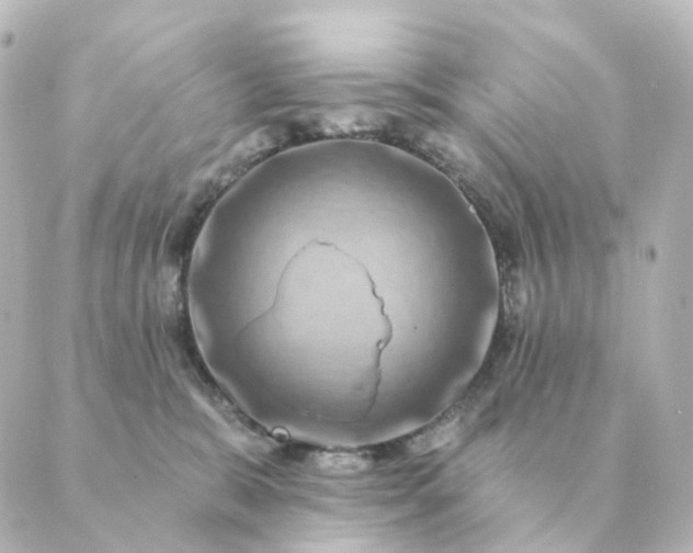 X0000088880327200706221821