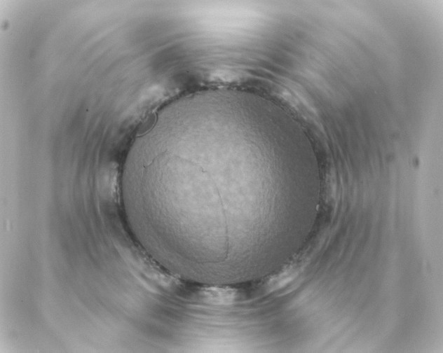 X0000088880328200706221821